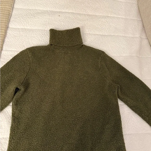 Eddie Bauer Forest Green Turtleneck Sweater - Picture 1 of 4